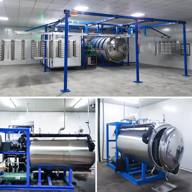 Food Industrial Freeze Drying Machine Supplier